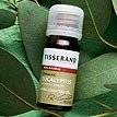Tisserand Fennel Sweet Essential Oil 0.33 oz Oil