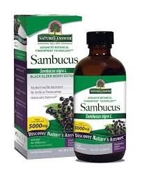 Nature&#39;s Answer Sambucus Original-Black Elder Berry Extract 4 oz Liquid