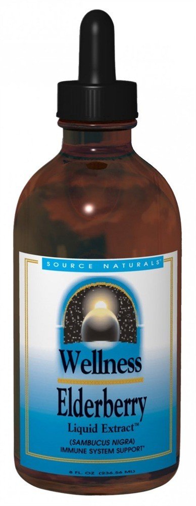 Source Naturals, Inc. Wellness Elderberry Extract Liquid Extract 2 oz Liquid
