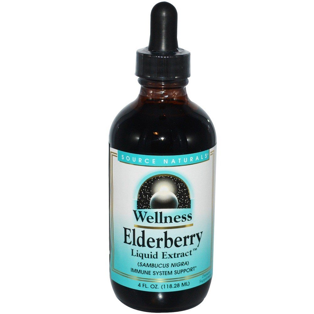 Source Naturals, Inc. Wellness Elderberry Extract Liquid Extract 4 oz Liquid