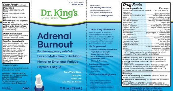 Dr King Natural Medicine 911 Adrenal Burnout &amp; Fatigue 2 oz Liquid