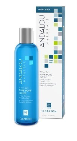 Andalou Naturals Aloe + Willow Bark Pore Minimizer 6 oz Liquid