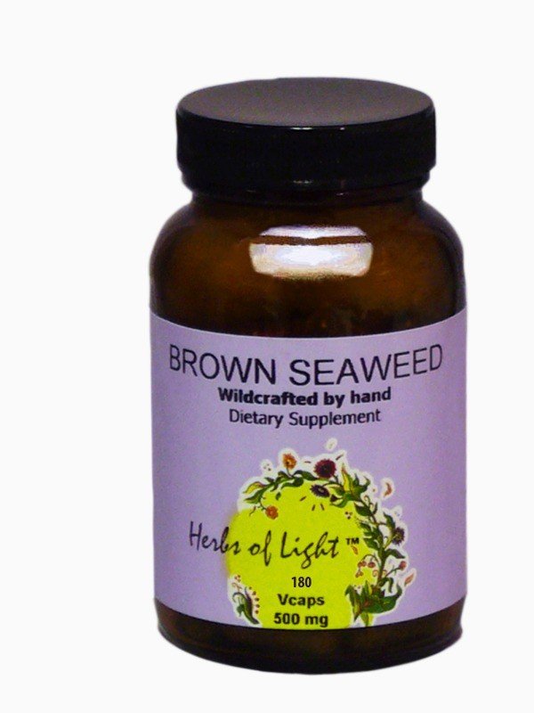 Herbs of Light Living Foods Brown Seaweed 180 Capsule