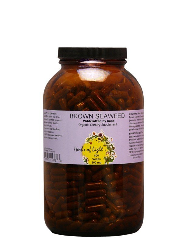 Herbs of Light Living Foods Brown Seaweed 800 Capsule