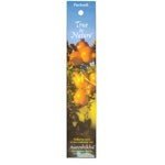 Auroshikha Candles & Incense Incense Singapore Patchouli 10 gram Incense