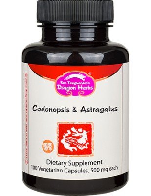 Dragon Herbs Codonopsis and Astragalus 100 Capsule