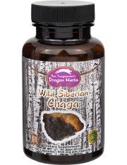 Dragon Herbs Wild Siberian Chaga 100 Capsule