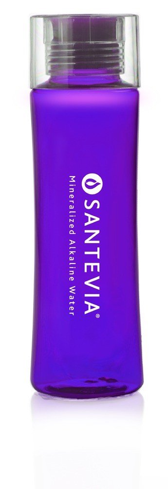 Santevia Santevia Tritan Water Bottle Purple 20 oz Bottle
