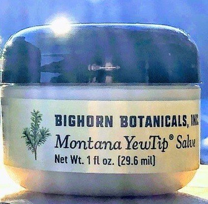 Bighorn Botanicals Montana Yew Salve 1 oz Cream