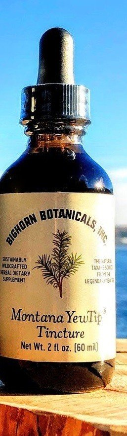 Bighorn Botanicals Montana Yew Tincture 2.1 fl oz Dropper