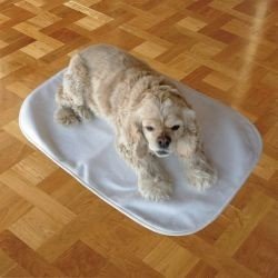 Achy Paws Pet Mat Large 40x30"" 1 Pack