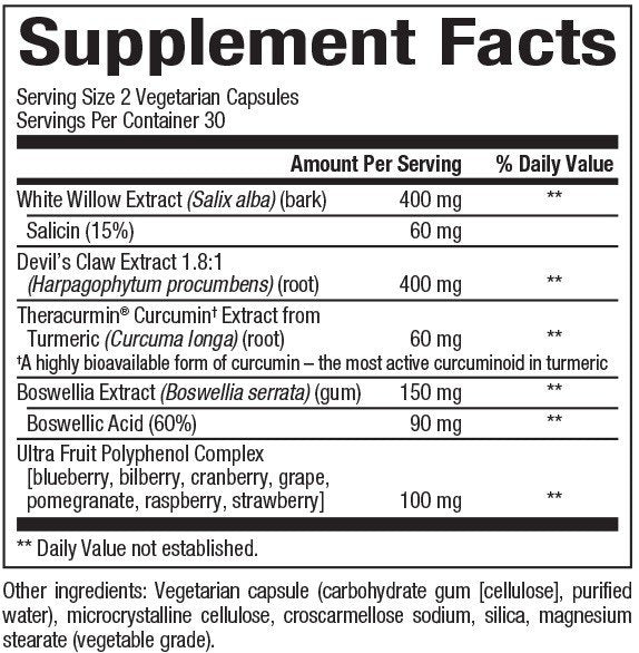 Natural Factors CurcuminRich Joint Curcumizer 60 VegCap