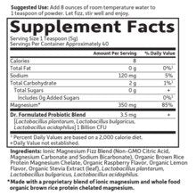 Garden of Life Dr. Formulated Magnesium Raspberry Lemon 198.4 grams Powder