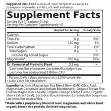 Garden of Life Dr. Formulated Magnesium Orange 197.4 grams Powder