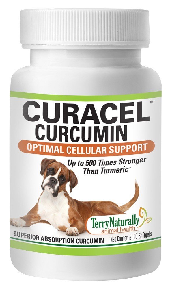 EuroPharma (Terry Naturally) Animal Health Curacel Curcumin 60 Softgel