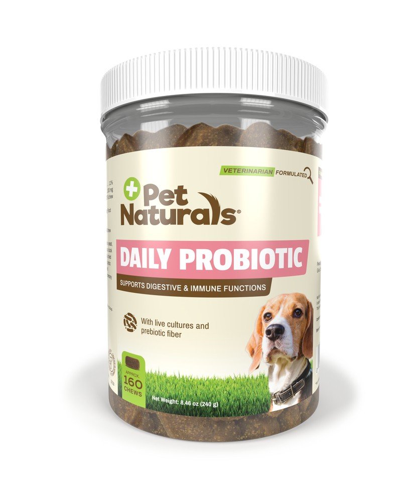 Pet Naturals Of Vermont Daily Probiotic for Dogs 160 Chewable