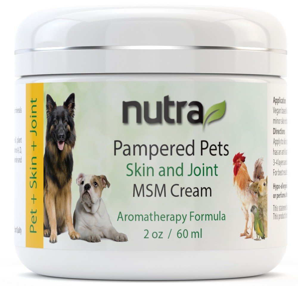 Nutra Health Pampered Pets Skin and Joint MSM Cream 2 oz (60 ml) Jar