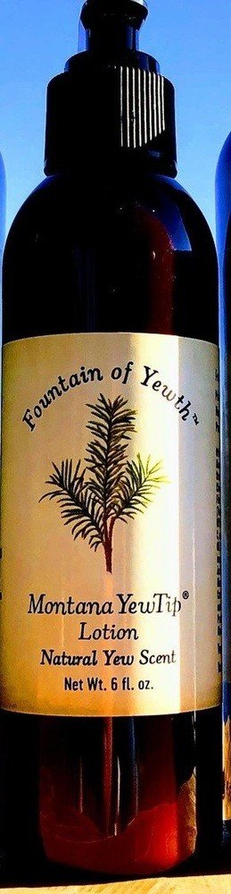 Bighorn Botanicals Montana YewTip Lotion, Natural Yew scent 6 oz Lotion