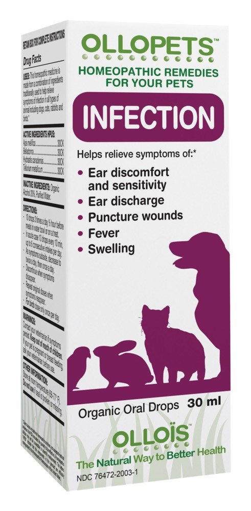 Ollois Homeopathics OLLOPETS Infection 1 oz Liquid