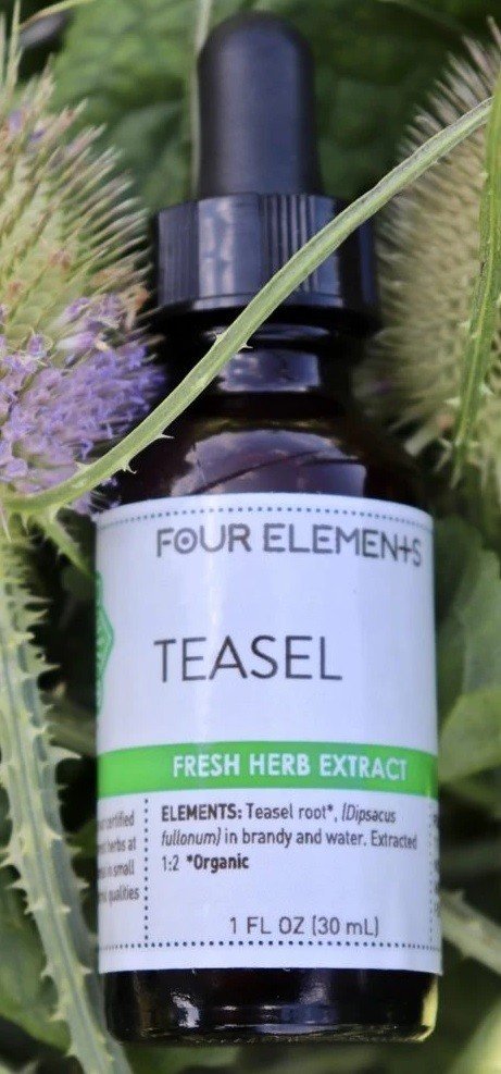 Four Elements Organic Herbals Teasel Tincture Blend 1 oz Liquid