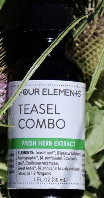 Four Elements Organic Herbals Teasel Combo Tincture Blend 1 oz Liquid