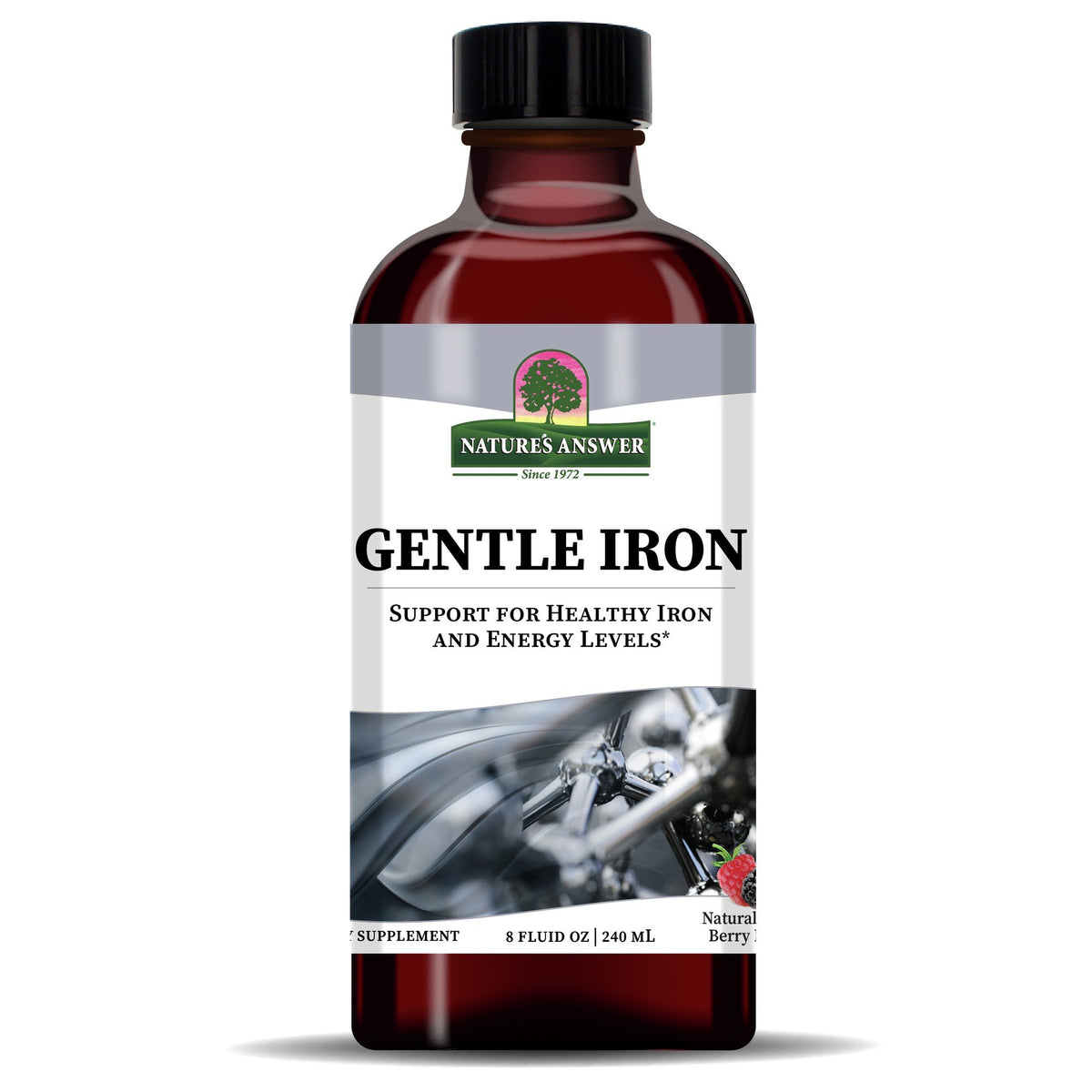 Nature&#39;s Answer Gentle Iron 8 fl oz Liquid