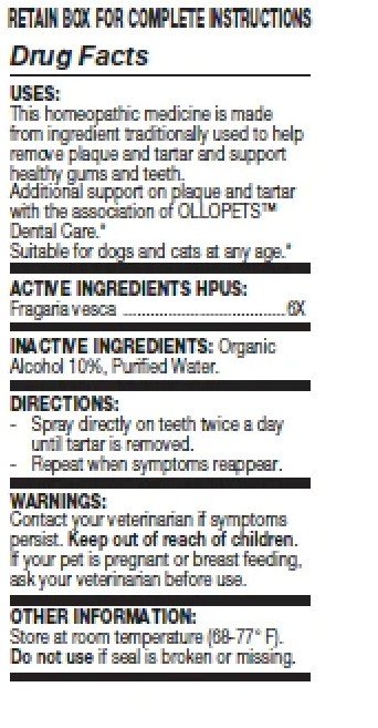 Ollois Homeopathics OLLOPETS Dental Spray 1 fl oz Spray